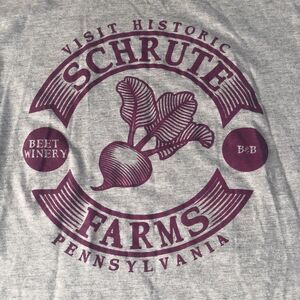 The Office  Mens Historic Schrute Farms Beet T-shirt Gray Purple Graphic 2X